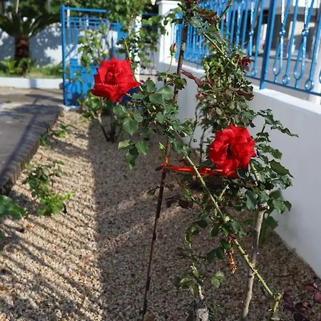 Traditional Town Garden Апартаменты *