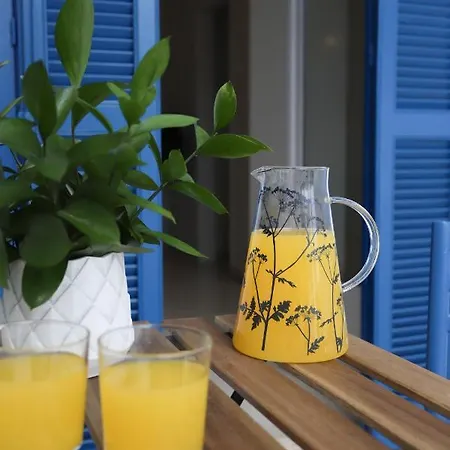 Traditional Town Garden *