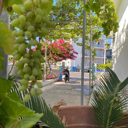 Apartment Traditional Town Garden *