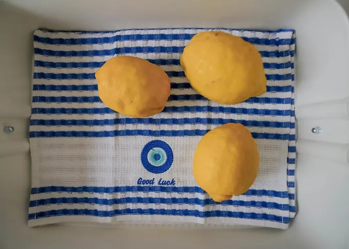 Traditional Town Garden *