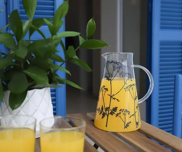 Traditional Town Garden *